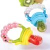 Baby Fruit Pacifier
